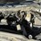 2016-chevrolet-2500hd-image-6