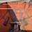 #5006-•-grain-cart-image-21