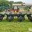 kinze-2200-image-6