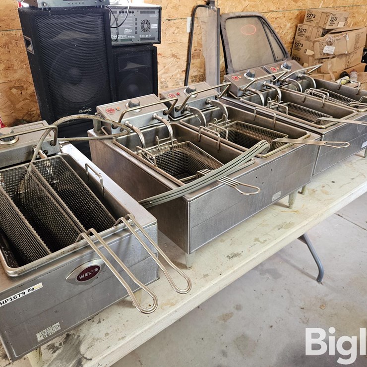 Wel's Electric Kitchen Fryers