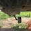 2021-mac-don-fd245-image-33