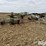 2015-claas-liner-2900-image-3