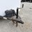 1995-cargo-wells-image-14
