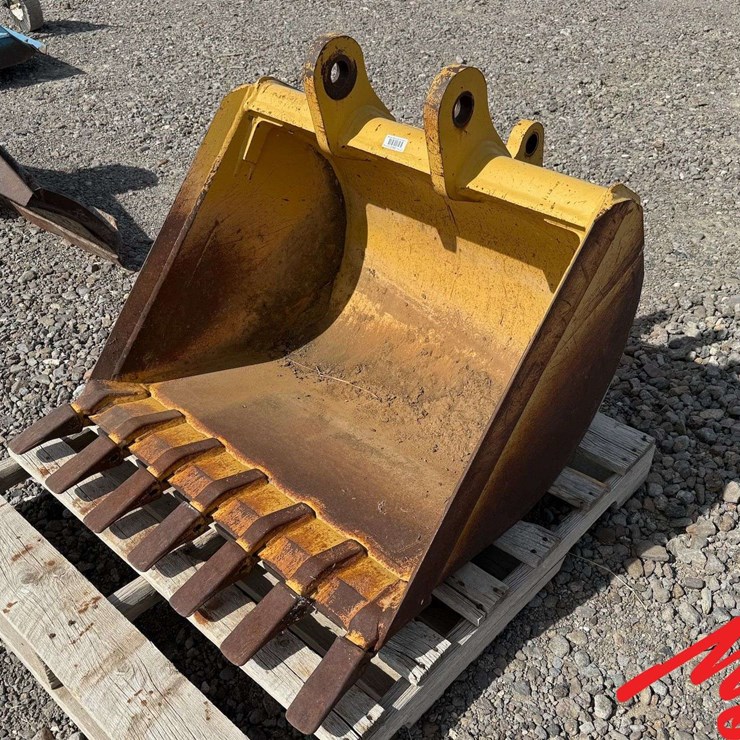CASE 36