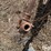 alloway-rau-image-9