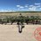 john-deere-235-image-2