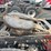 2007-freightliner-columbia-120-image-37