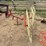 sitrex-rp3-image-2