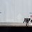 2005-utility-4000d-x-image-4