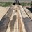 2019-big-tex-40'-x-102"-image-24
