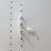 2019-stoughton-van-image-28
