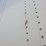 2019-stoughton-van-image-6