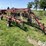 case-ih-wrx301-image-3