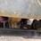 1997-ford-lnt9000-image-35