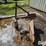 dearborn-19-5-image-8