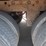 2005-great-dane-van-image-20