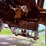 2014-volvo-l90g-image-43