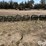 john-deere-20-image-6