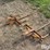 king-kutter-3-prong-bale-spears-image-5