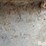 butler-21’-diameter-grain-bin-image-12