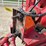 #5006-•-grain-cart-image-11