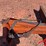 leon-3100-image-5