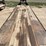 2019-big-tex-40'-image-25