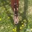 new-holland-258-image-9