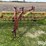 new-holland-258-image-2