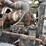 1981-mack-dm685s-image-26