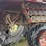 agco-7444-image-18