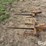 king-kutter-3-prong-bale-spears-image-8