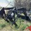 ezee-on-2100-image-5