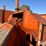 allis-chalmers-66-image-18