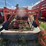 72"-milestone-dirt-eliminator-&-sizer-image-6