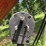 buhler-farm-king-831-image-5