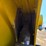 2024-wacker-neuson-st50-image-96