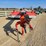 kuhn-fc4000-image-8