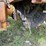 caterpillar-130g-image-53