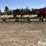 john-deere-36-image-5