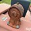 bush-hog-sq720-image-19