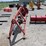 #1024-•-srs-crisafulli-gator-pump-image-4