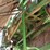 2008-john-deere-9770-sts-image-31