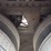 2019-stoughton-van-image-21