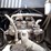 2009-deere-270d-lc-image-65