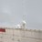 2005-great-dane-van-image-29