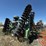 34'-wishek-842lnt-heavy-disk-image-4