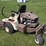 2001-grasshopper-725-image-7
