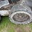 bobcat-s64-image-5