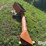 allis-chalmers-100-image-6